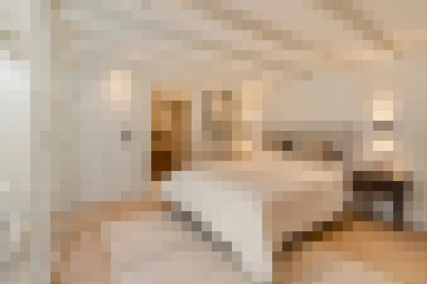 Zocherstraat 5 H Amsterdam thumbnail 33