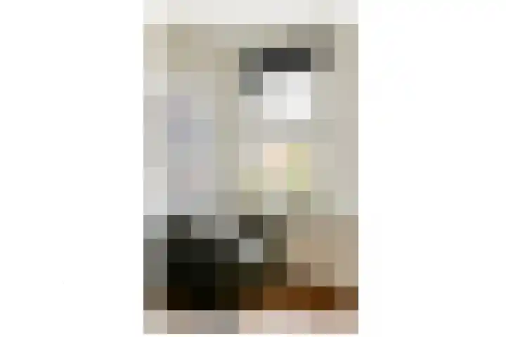 Zocherstraat 51 H Amsterdam thumbnail 8