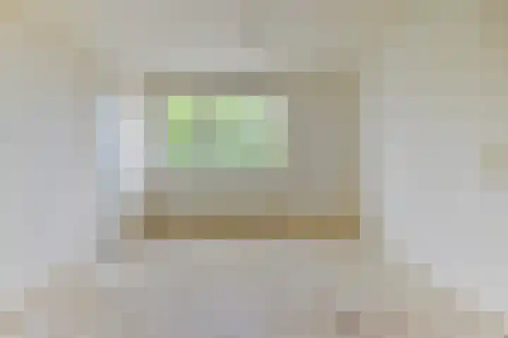 Zocherstraat 51 Rotterdam thumbnail 14
