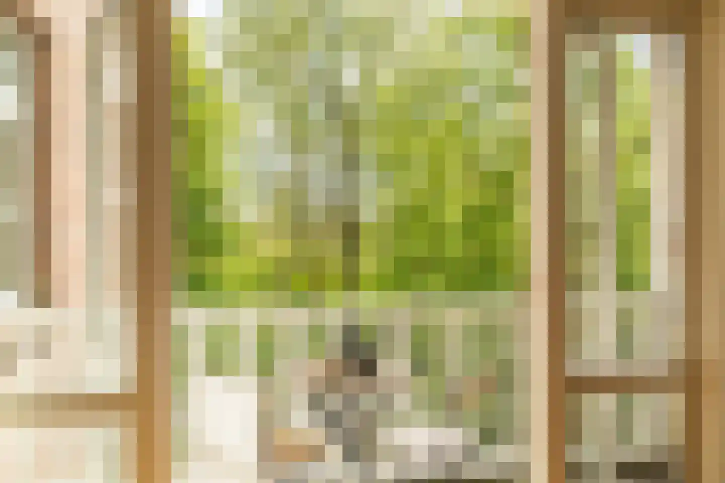 Zocherstraat 53 2 Amsterdam thumbnail 4