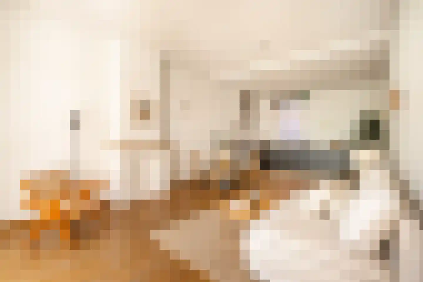 Zocherstraat 53 2 Amsterdam thumbnail 8