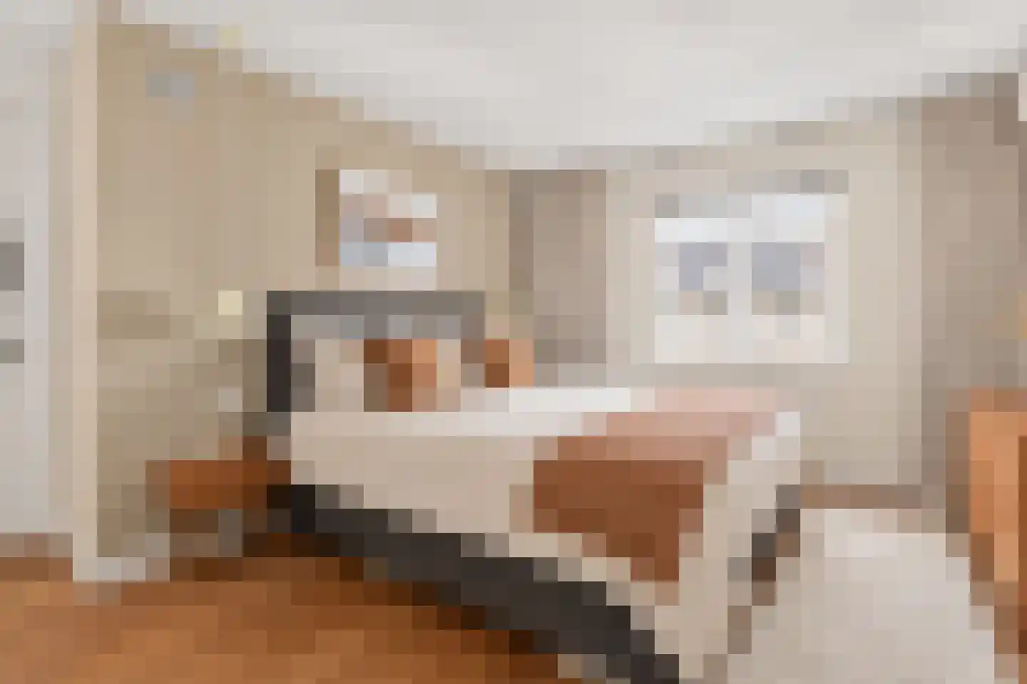 Zocherstraat 56 4 Amsterdam thumbnail 5