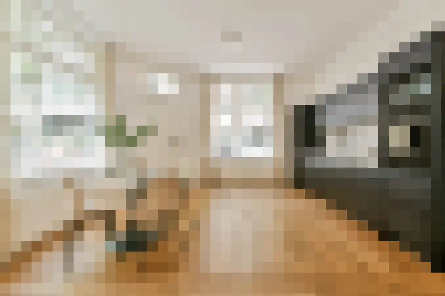 Zocherstraat 57 H Amsterdam thumbnail 12