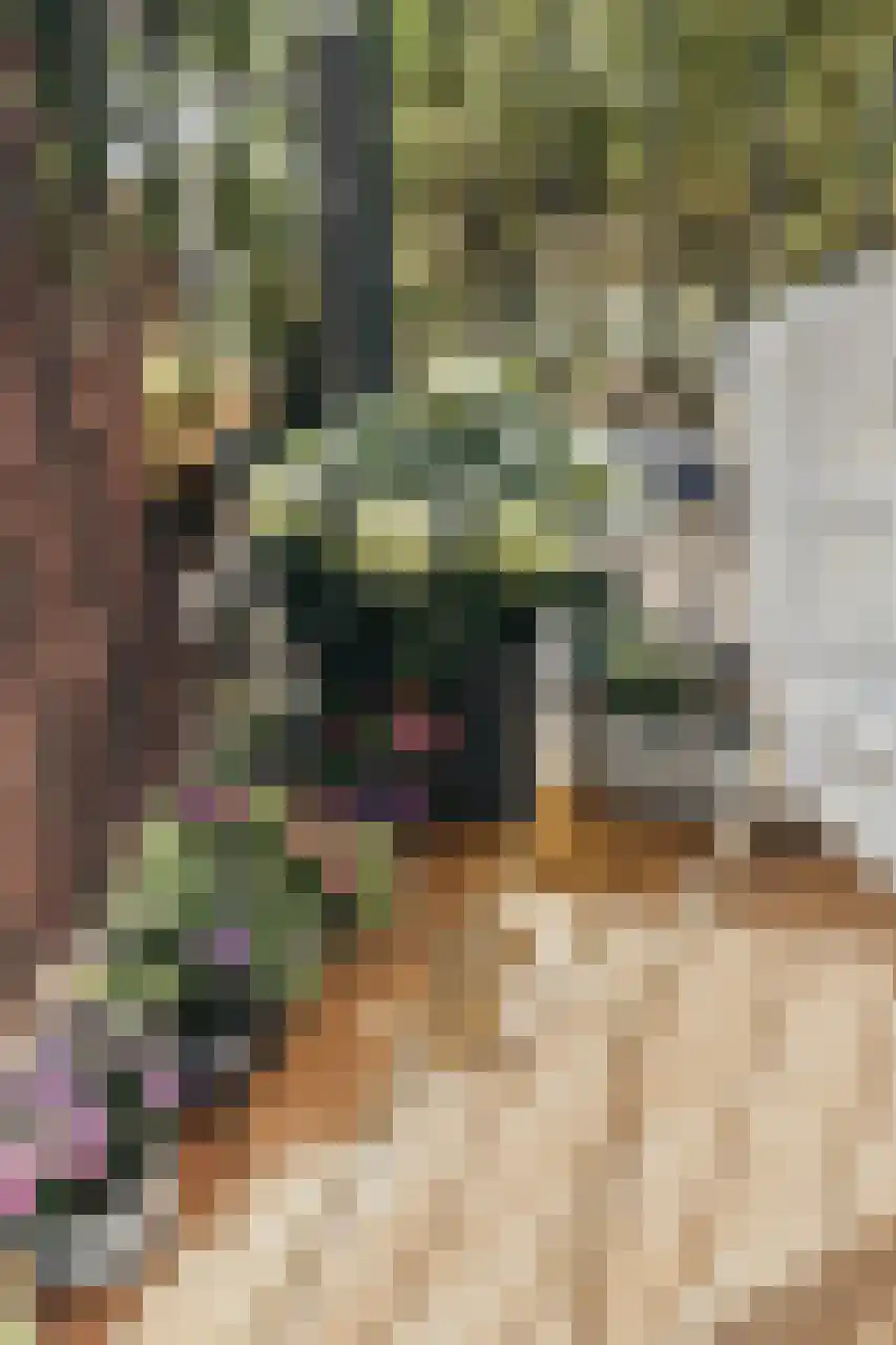 Zocherstraat 73 1 Amsterdam thumbnail 33