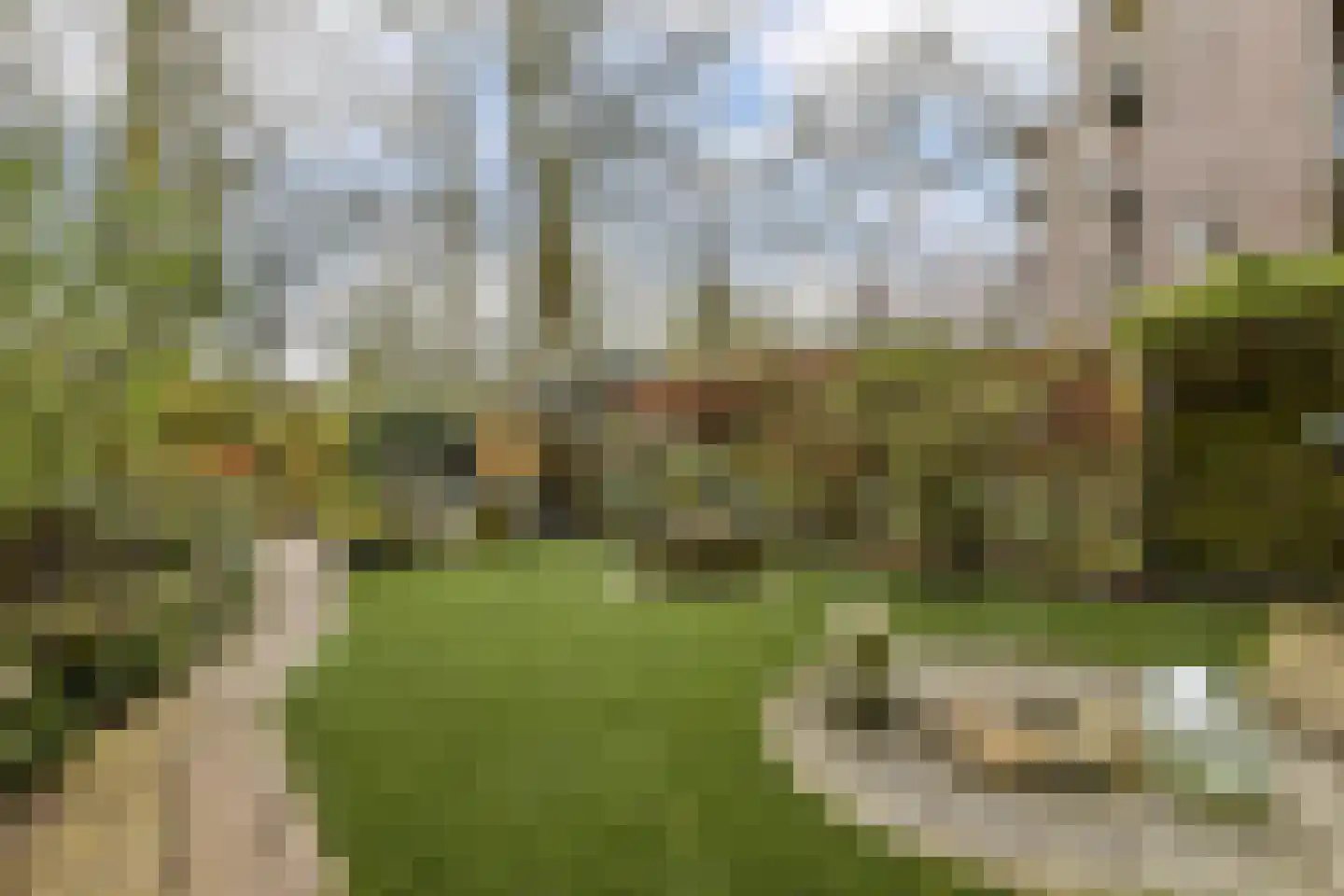 Zocherstraat 73 3 Amsterdam thumbnail 19