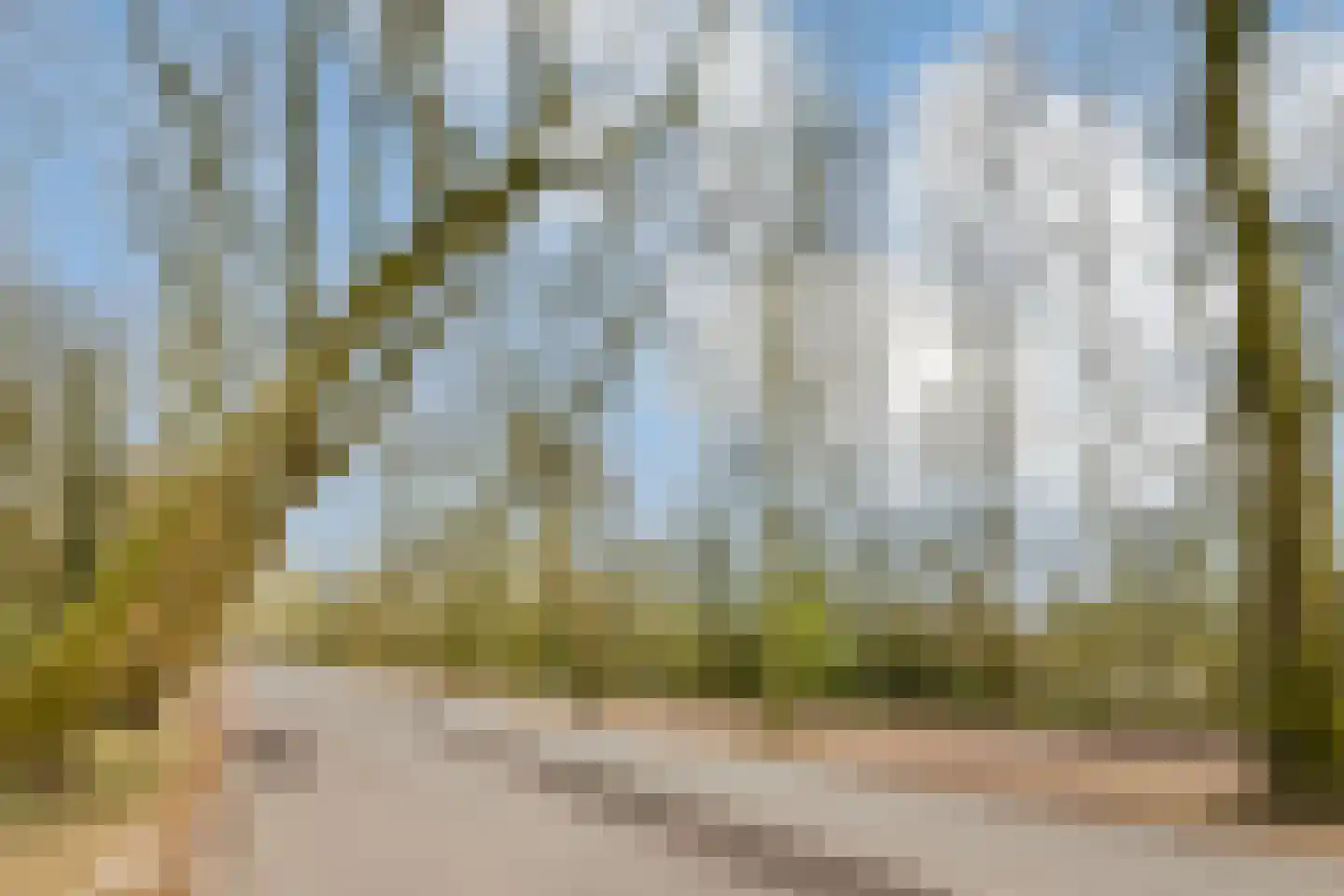 Zocherstraat 73 3 Amsterdam thumbnail 38