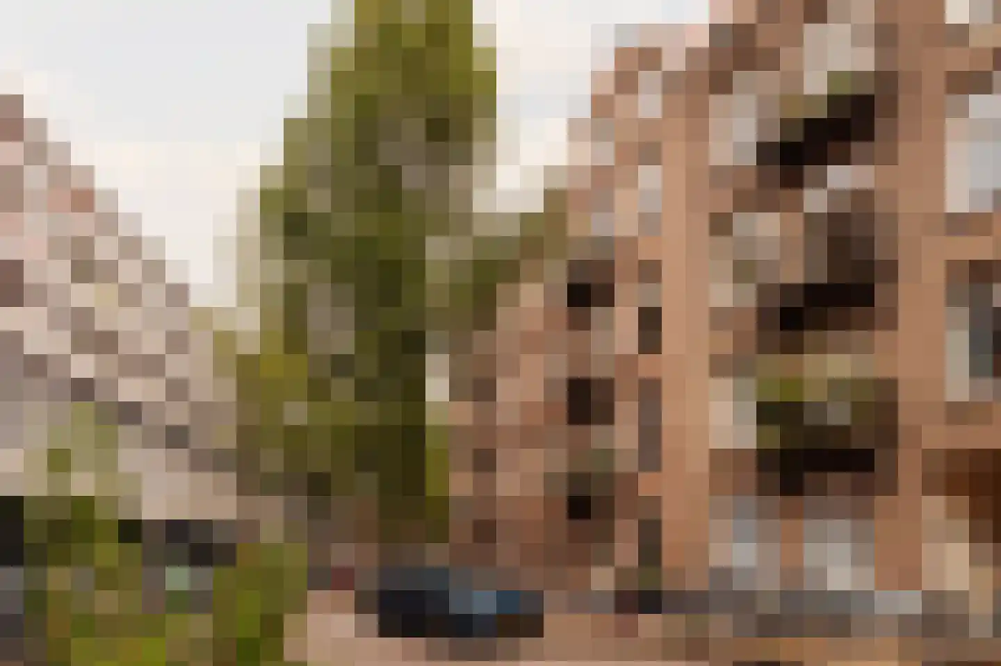 Zocherstraat 73 4A Amsterdam thumbnail 22
