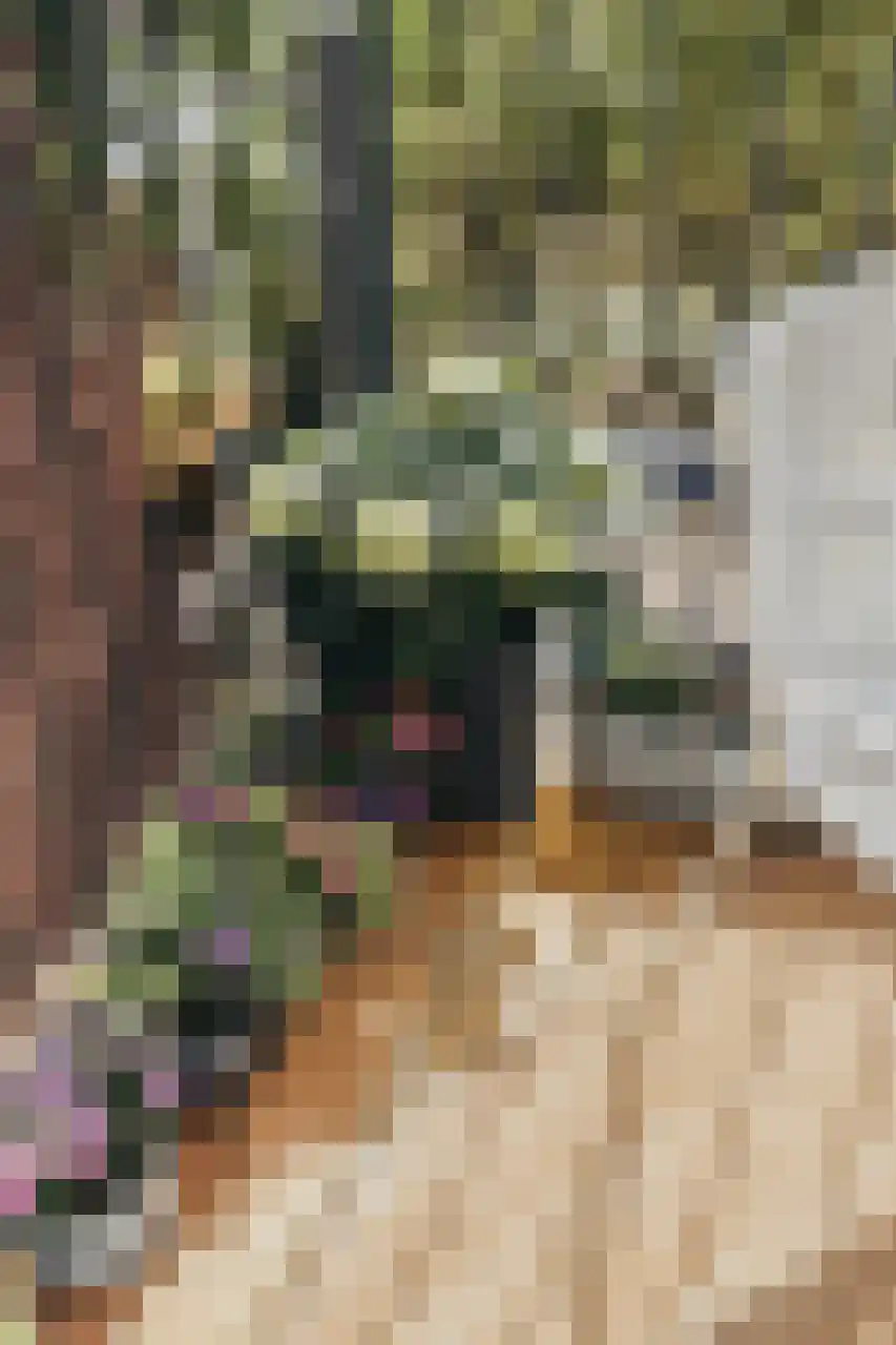 Zocherstraat 73 4B Amsterdam thumbnail 32