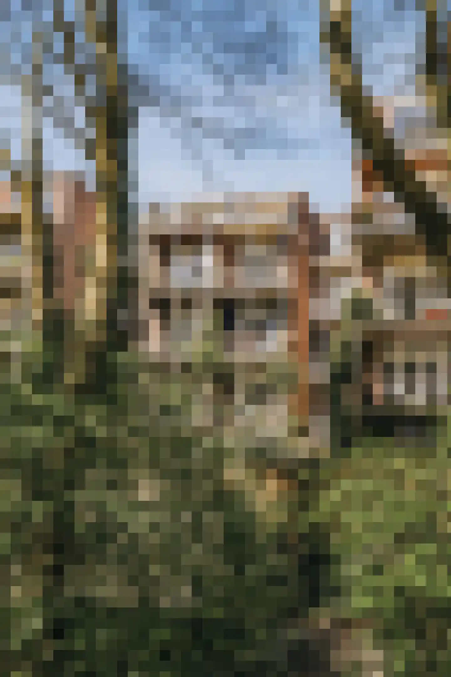 Zocherstraat 73 4B Amsterdam thumbnail 35