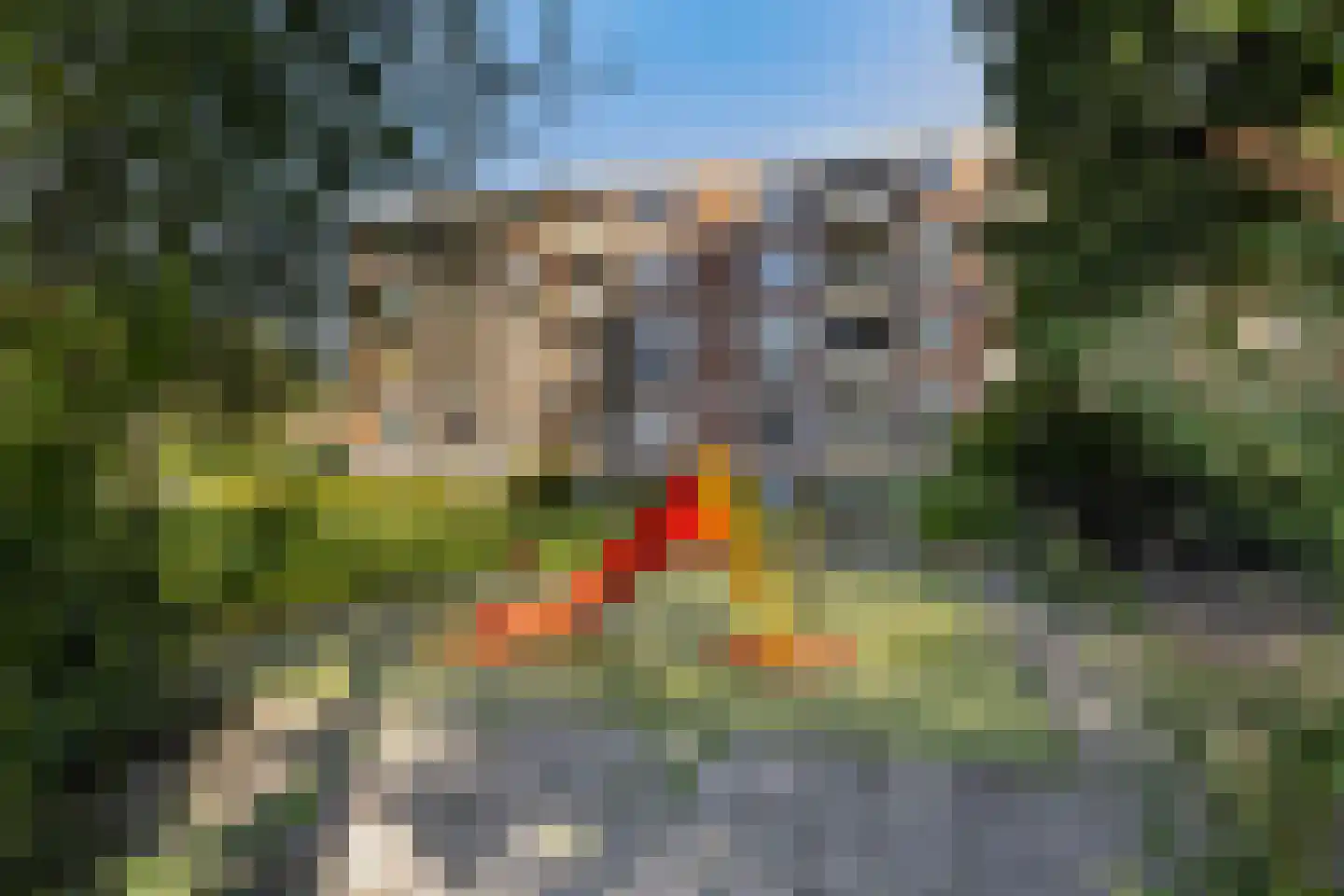 Zocherstraat 74 Rotterdam thumbnail 34
