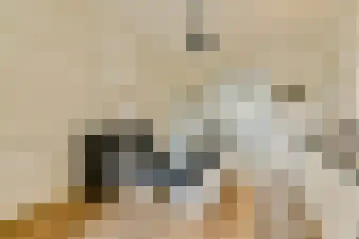 Zocherstraat 75 1 Amsterdam thumbnail 7