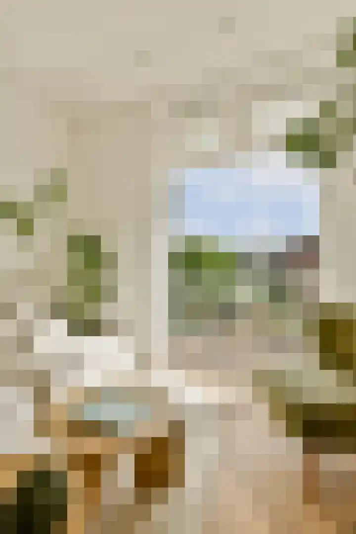 Zocherstraat 9 2 Amsterdam thumbnail 4