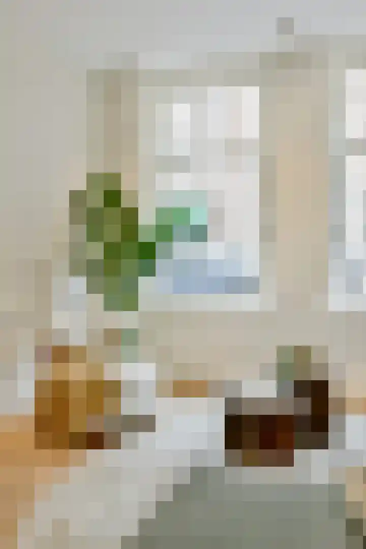 Zocherstraat 9 2 Amsterdam thumbnail 5
