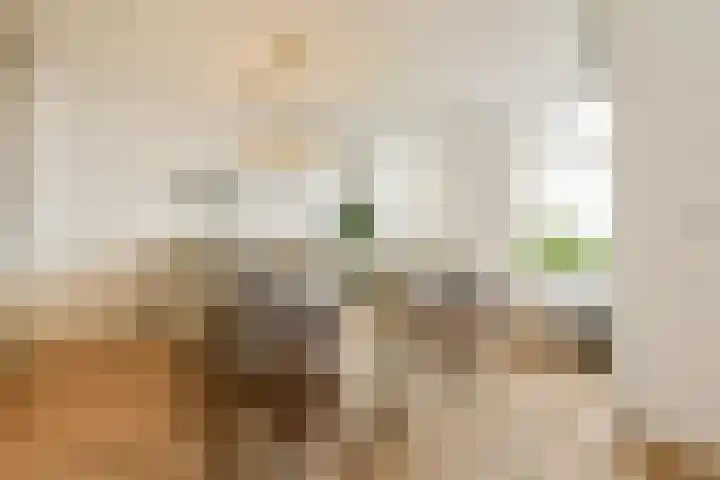 Zocherstraat 9 4 Amsterdam thumbnail 5