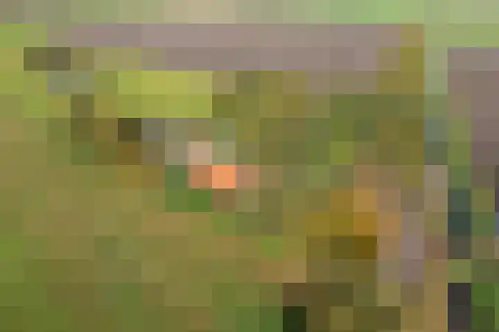 Zodenpandweg 16 Bourtange thumbnail 11