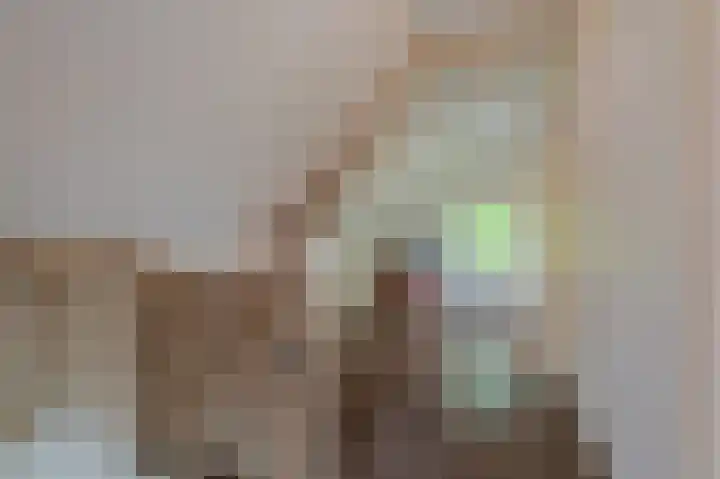 Zodenpandweg 16 Bourtange thumbnail 33