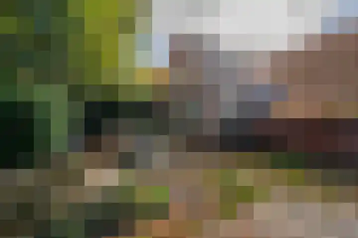 Zodenpandweg 16 Bourtange thumbnail 4
