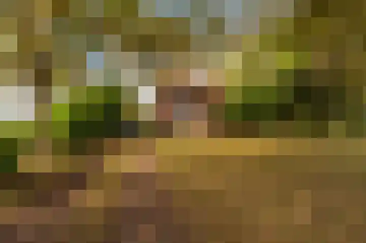 Zodenpandweg 16 Bourtange thumbnail 5