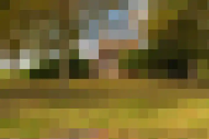 Zodenpandweg 16 Bourtange thumbnail 6