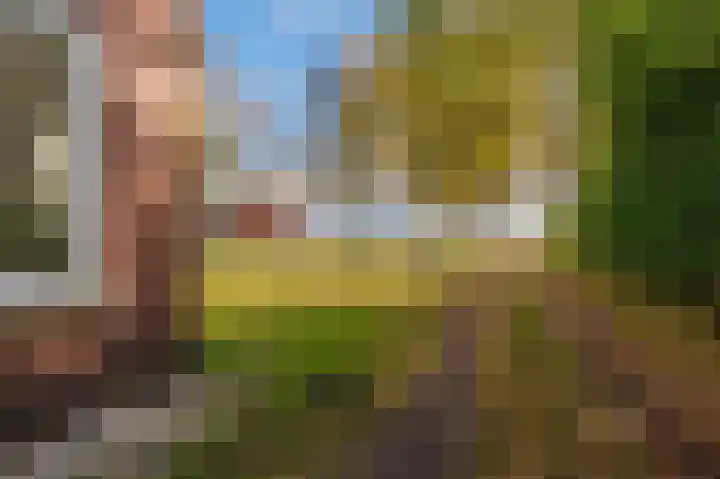Zodenpandweg 16 Bourtange thumbnail 7