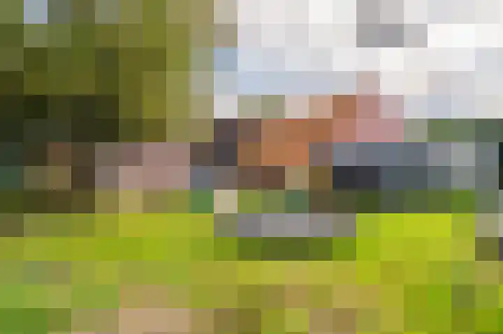 Zodenpandweg 16 Bourtange thumbnail 9