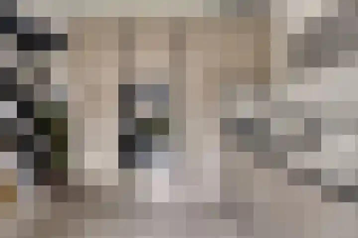 Zodiacpad 8 Enschede thumbnail 16
