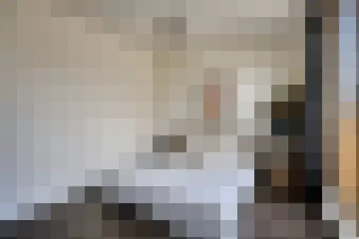 Zodiacpad 8 Enschede thumbnail 22