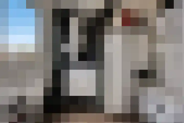 Zodiacpad 8 Enschede thumbnail 37