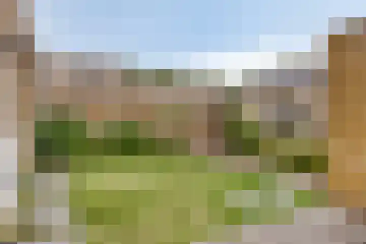 Zodiacpad 8 Enschede thumbnail 38