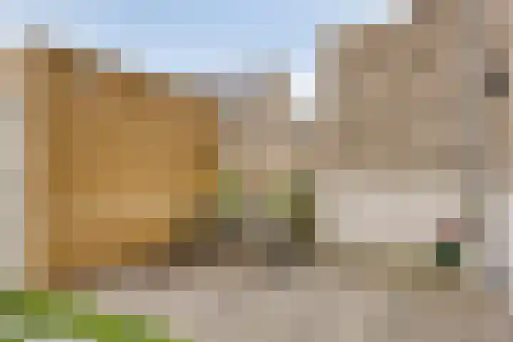 Zodiacpad 8 Enschede thumbnail 39