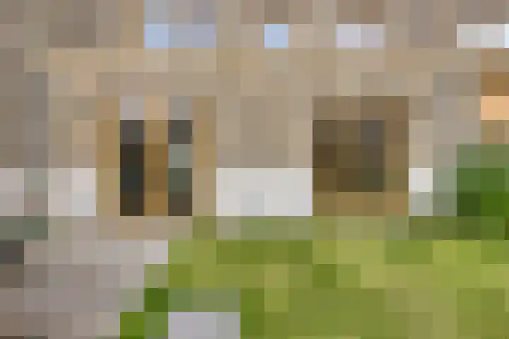 Zodiacpad 8 Enschede thumbnail 40