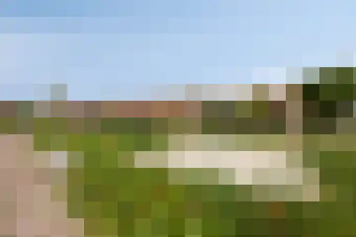 Zodiacpad 8 Enschede thumbnail 42