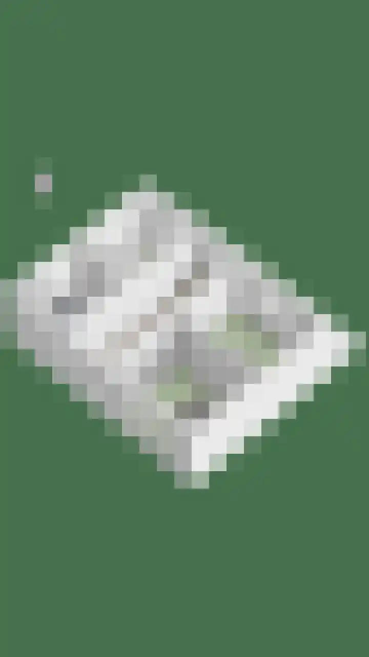 Zodiacpad 8 Enschede thumbnail 50