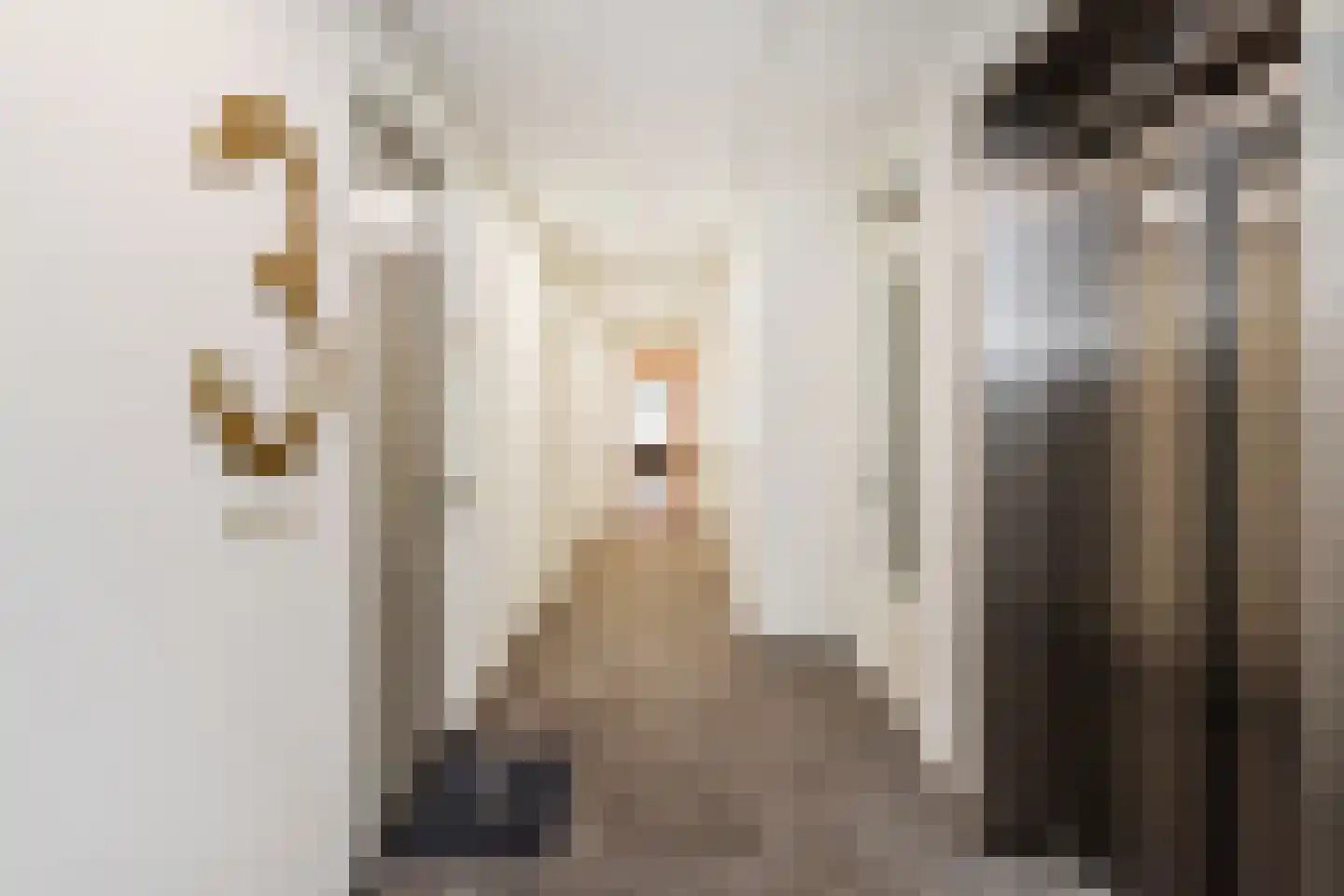 Zodiakplein 102 Den Haag thumbnail 9