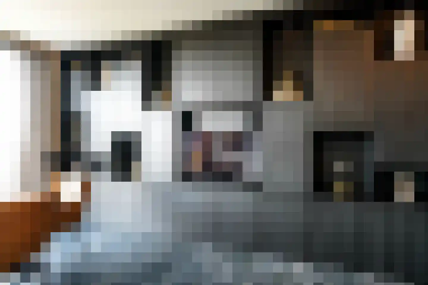 Zodiakplein 119 Den Haag thumbnail 26