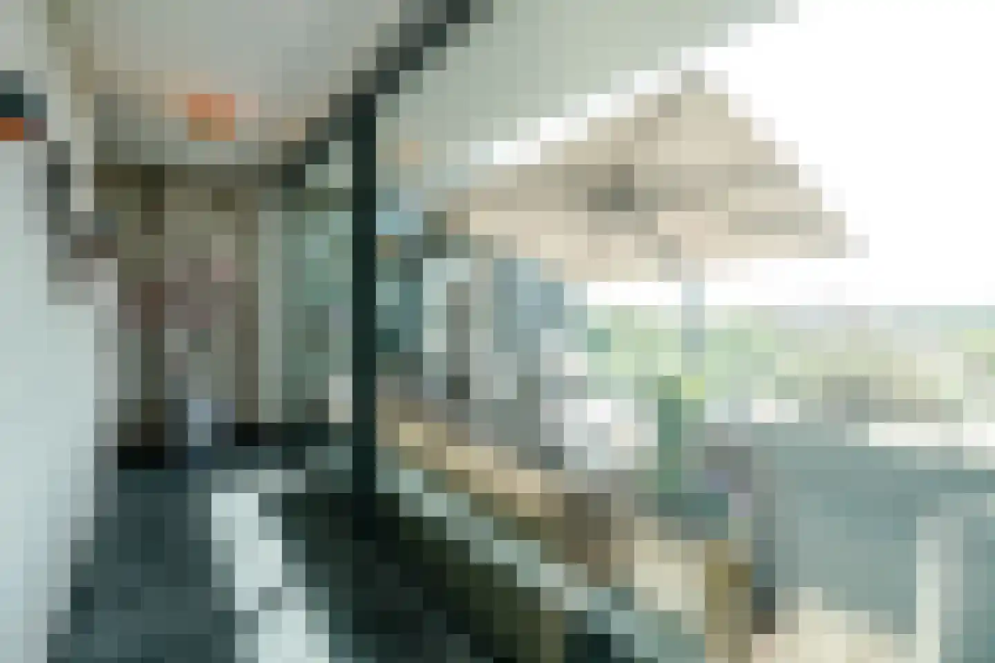 Zodiakplein 119 Den Haag thumbnail 43
