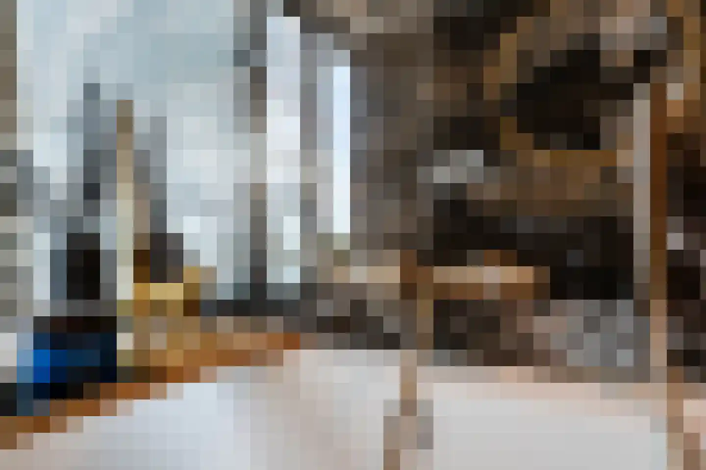 Zodiakplein 119 Den Haag thumbnail 48