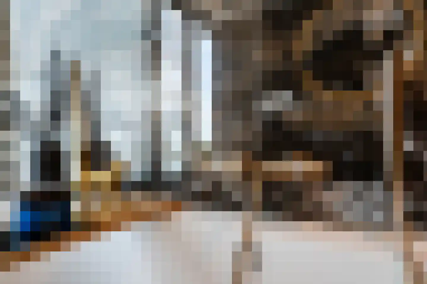 Zodiakplein 119 Den Haag thumbnail 49