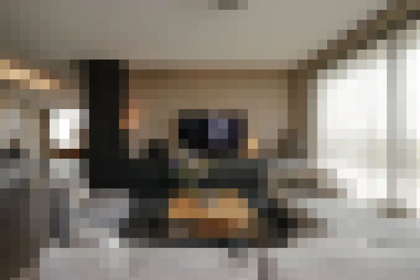 Zodiakplein 119 Den Haag thumbnail 9