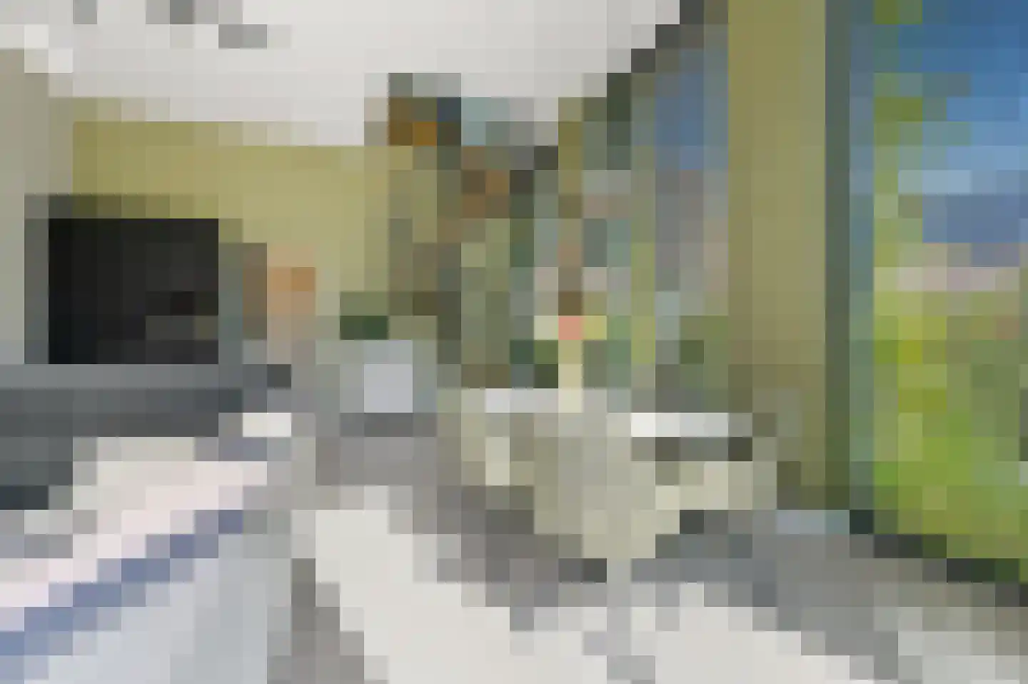 Zodiakplein 126 Den Haag thumbnail 17