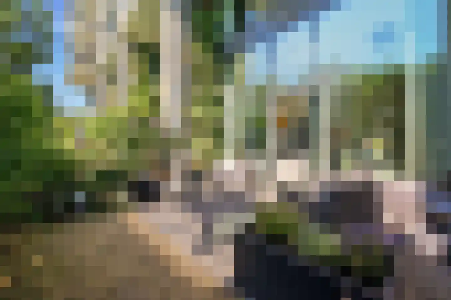 Zodiakplein 126 Den Haag thumbnail 22