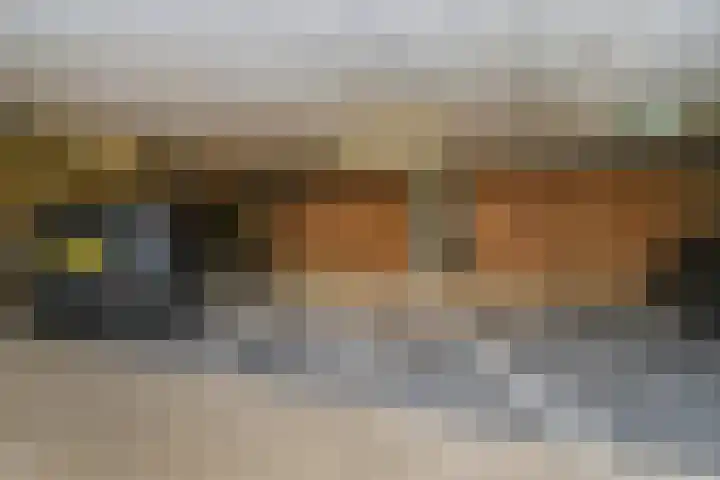 Zodiakplein 22 Den Haag thumbnail 29
