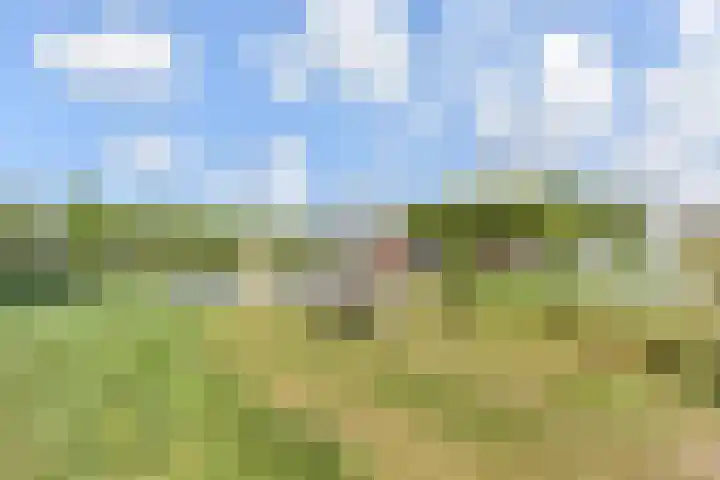 Zodiakplein 22 Den Haag thumbnail 34