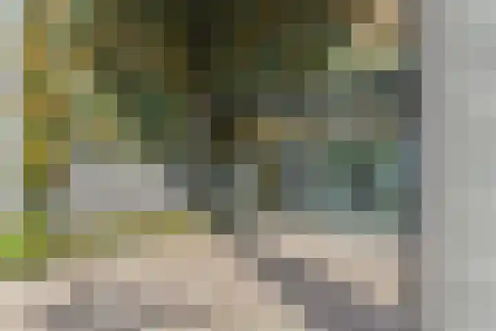 Zodiakplein 22 Den Haag thumbnail 5