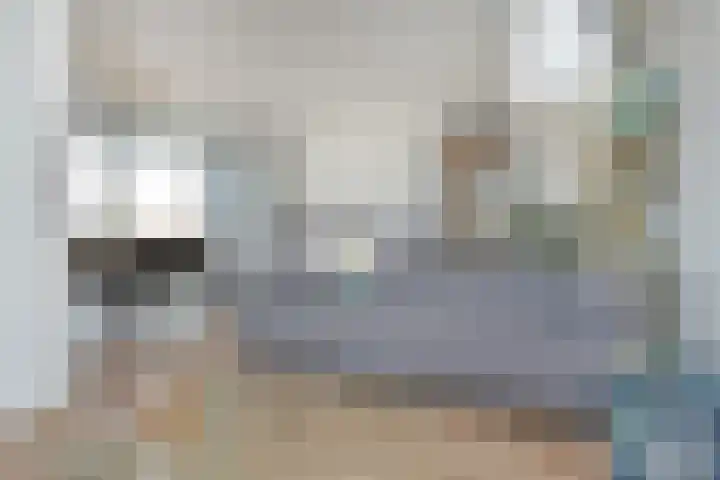 Zodiakplein 35 Den Haag thumbnail 19