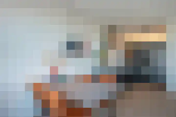 Zodiakplein 60 Den Haag thumbnail 16