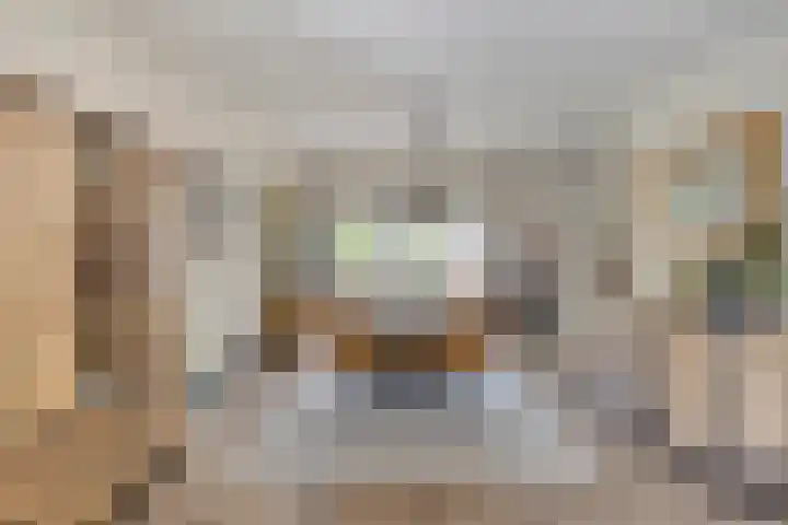 Zoekant 19 Eindhoven thumbnail 13