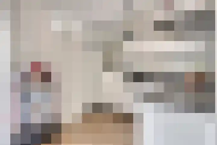 Zoekant 19 Eindhoven thumbnail 17