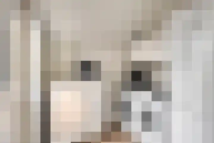 Zoekant 19 Eindhoven thumbnail 18