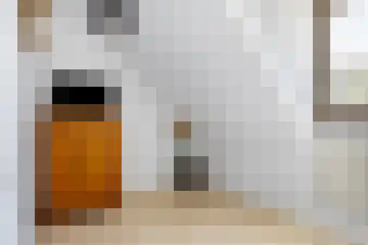 Zoekant 19 Eindhoven thumbnail 29